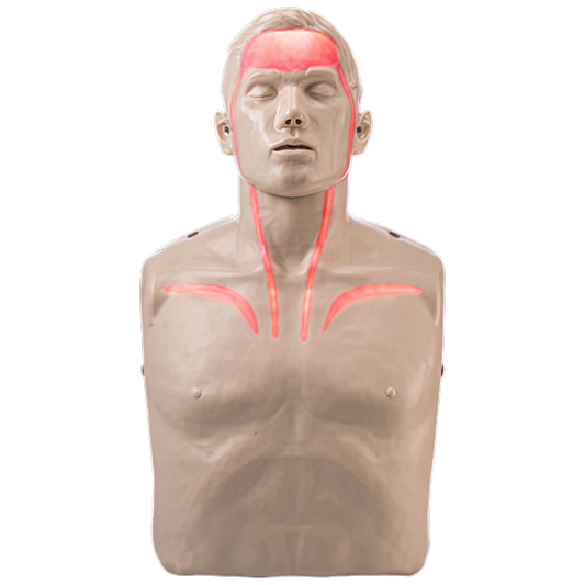 CPR Training Manikin with indicators