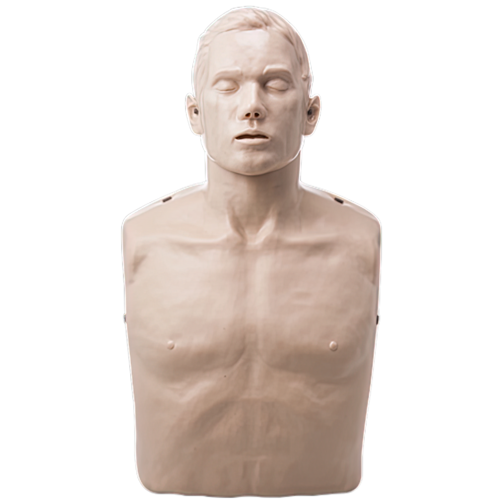 Mannequin torso with head on a white background